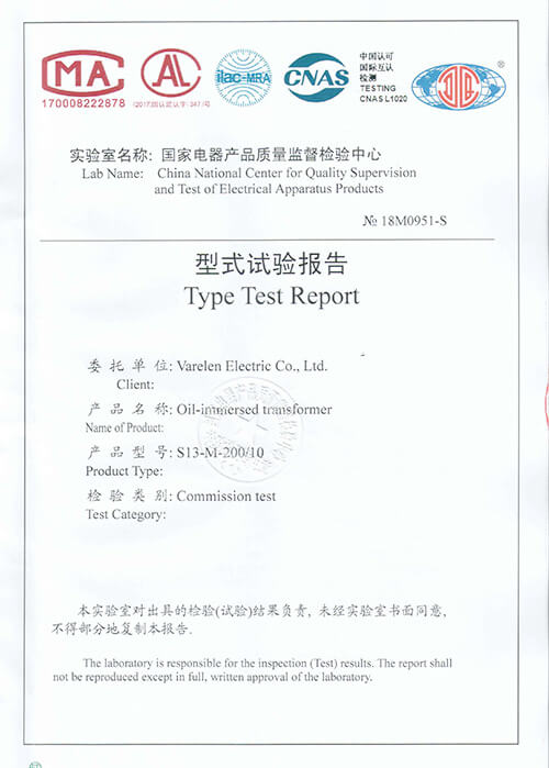 Type Test Report